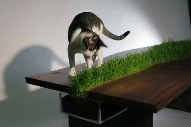 planter-table (4)