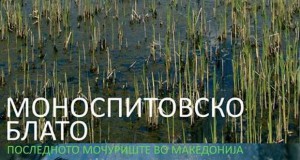 Моноспитовско блато, последното мочуриште во Македонија