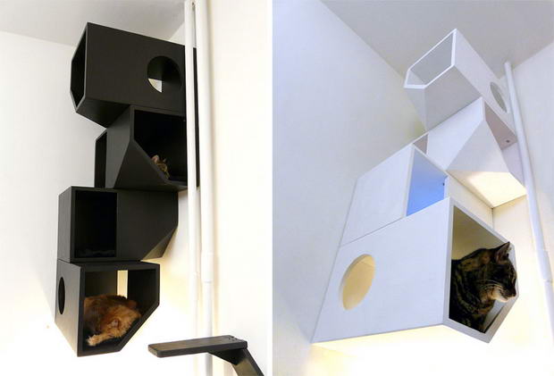 Modern-Architecture-for-Cats-1a