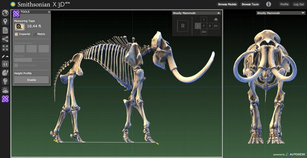 Smithsonian_Explorer_Measure