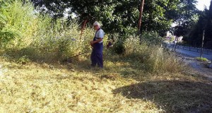 Уредување на зелен простор во Охрид