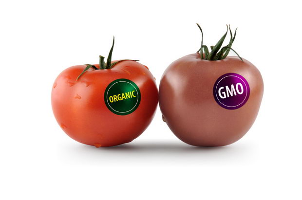 GMO