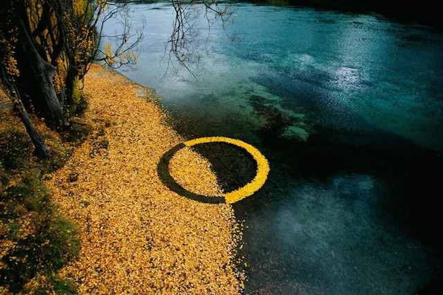 Circular-Installations-in-Nature-1