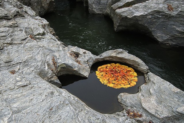 Circular-Installations-in-Nature-5