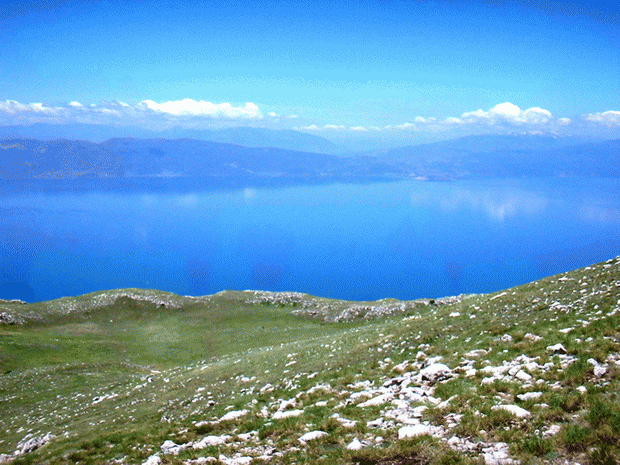 galicica