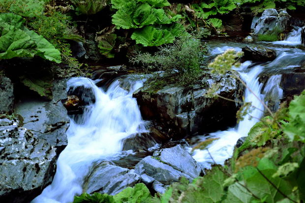 river_radika_mavrovo