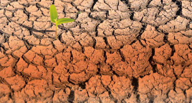 klimatski promeni konferencija  (3)