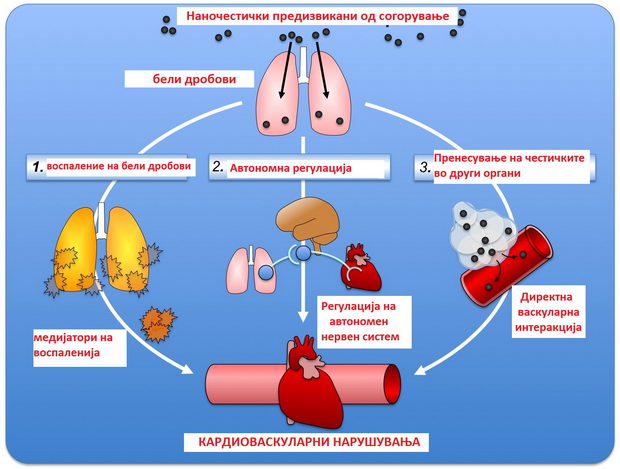 BiochemSocRev-Figs