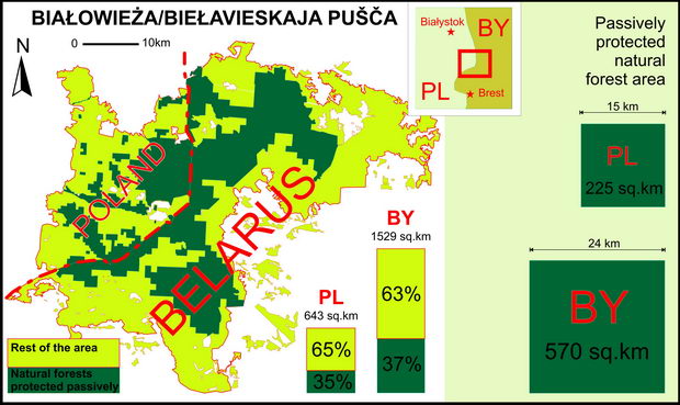 Beloveskaja suma1