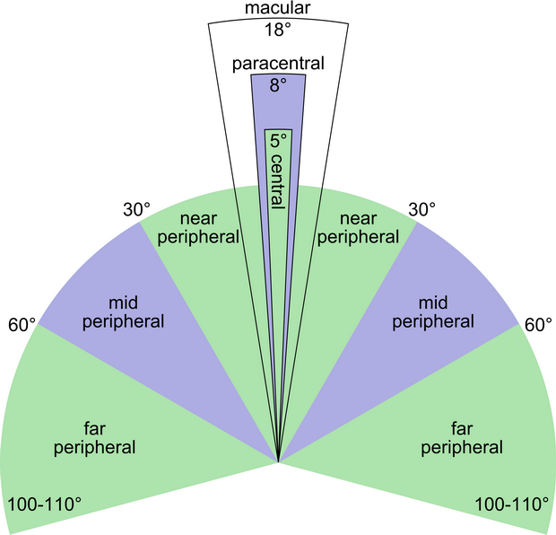 10 Periferno vidno pole