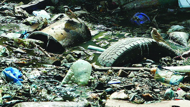 SENEGAL WATER -  WORLD WATER DAY