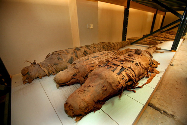 EGYPT-ARCHAEOLOGY-CROCODILE MUMMIES