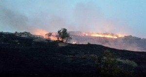 Петнаесетина пожари се уште активни во земјава