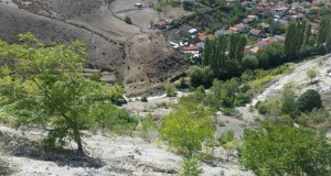 Помор на риби во реката Тополка во Велес