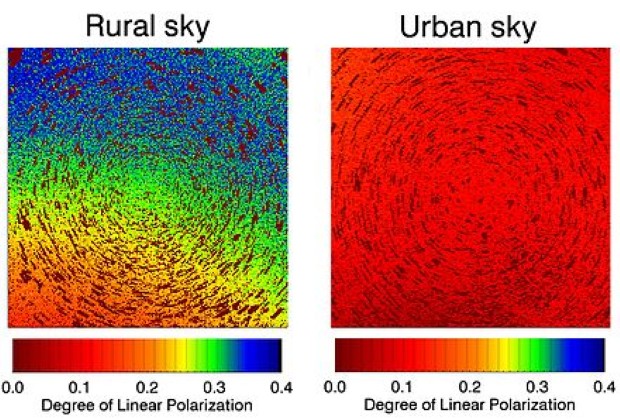 light pollution