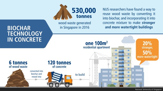 Biochar-infographic