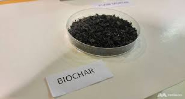 biochar1