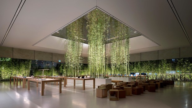 apple store2