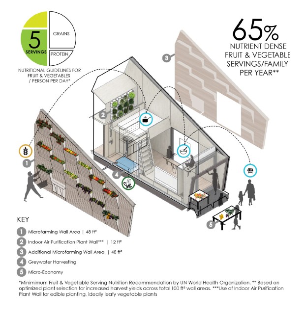 tinyhouse6