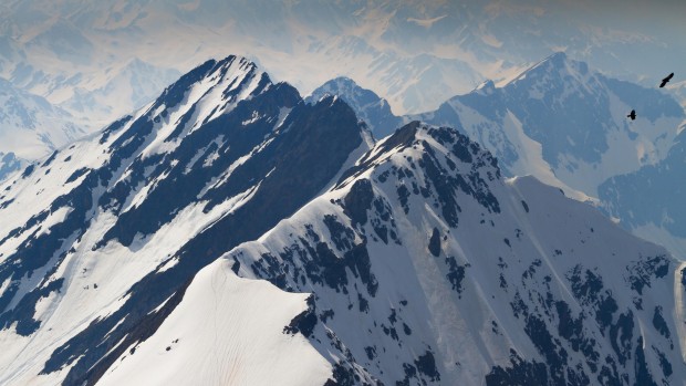 pyrenees