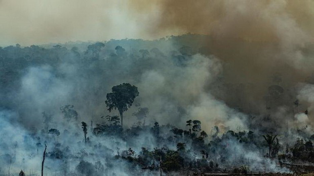 Amazon fire in Brazil