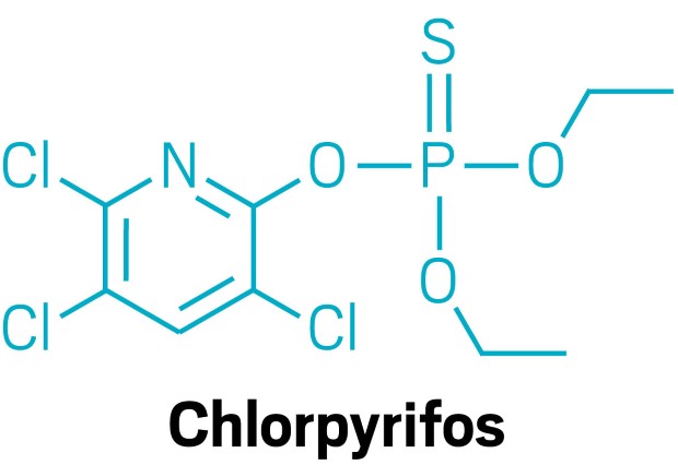 chlorop3