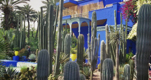 Majorelle ботаничката градина во Мароко