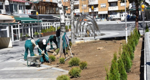 Озеленување на површините во Трговскиот центар во Кочани