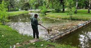 Чистење на езерцата во Градски парк во Скопје (фото)