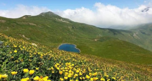 Почнува јавната кампања за прогласување на Шар Планина за Национален парк