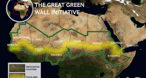 Голем зелен ѕид – најамбициозен африкански проект од светско значење