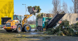 Во Будимпешта новогодишните елки се користат за производство на енергија