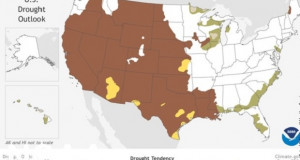 Над 60 отсто од територијата на САД годинава ќе биде зафатена од суша