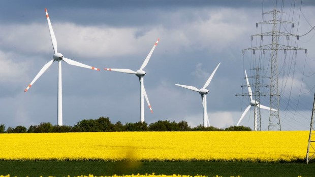 Rapsblüte in Niedersachsen