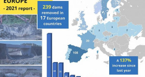 Во Европа во 2021 година отстранети над 200 брани