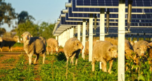 Француска компанија ќе го гради првиот агросоларен парк во Хрватска