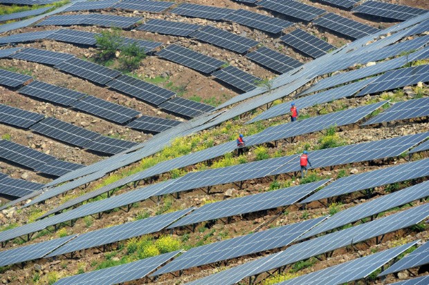 Chinese workers check solar photovoltaic