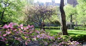 Gramercy Park, Њујорк – викторијански џентлмен кој одбива да умре